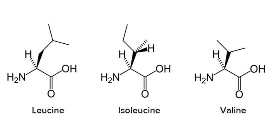 BCAA-chain