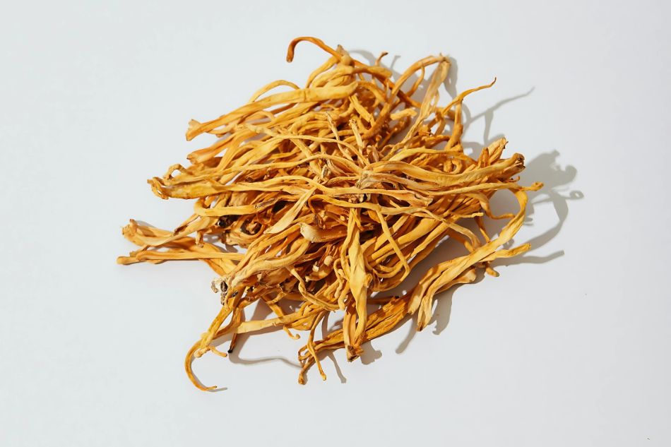 Cordyceps-mushrooms-benefits